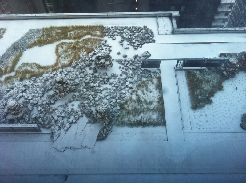 Illustration for article titled Hey, Seattle Gamers and Game Developers, Show Us Your Snow!